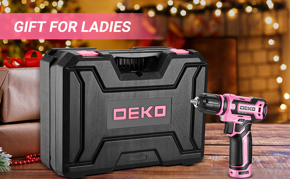 Home Mechanic Tool Kit with 12V Cordless Drill