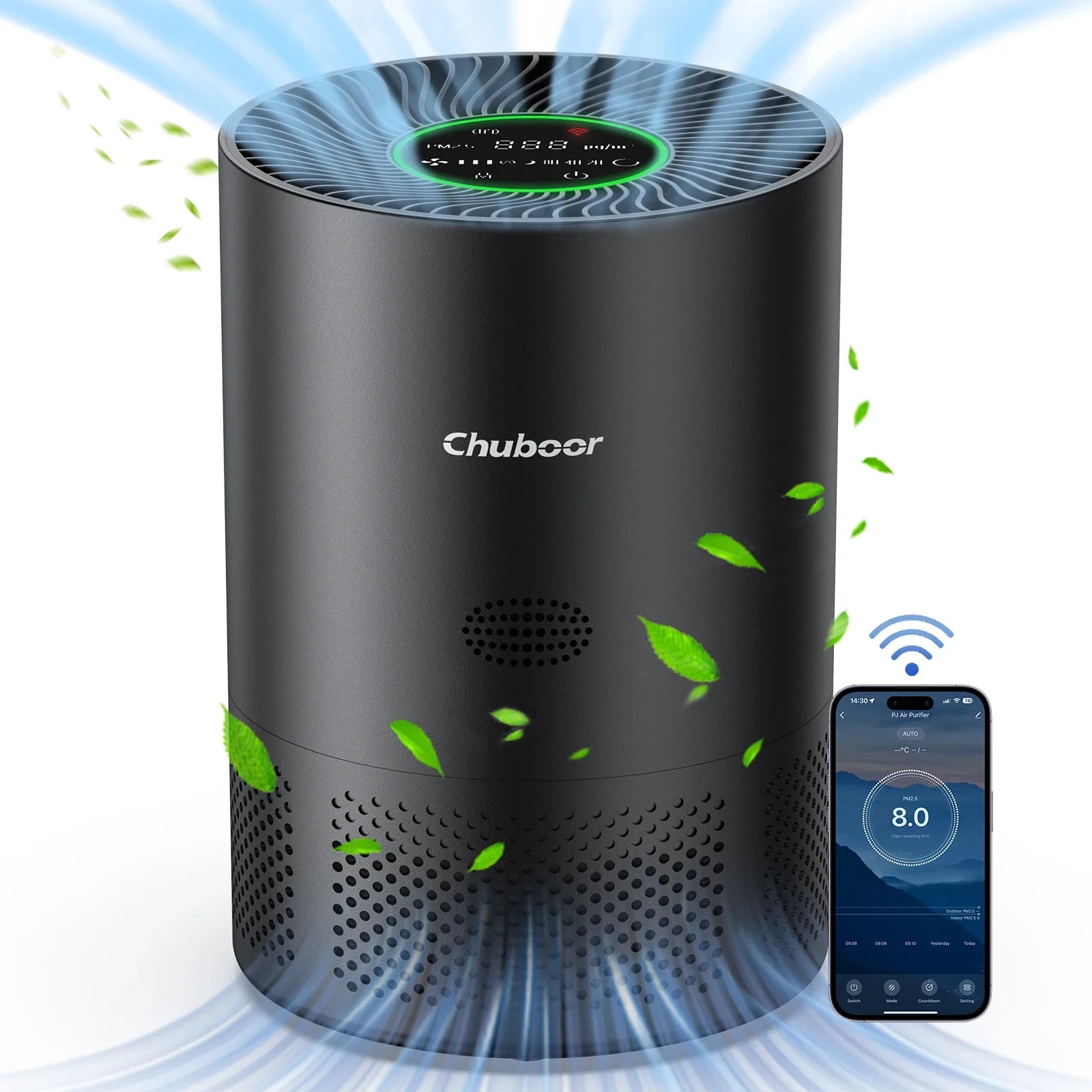 Air Cleaner
