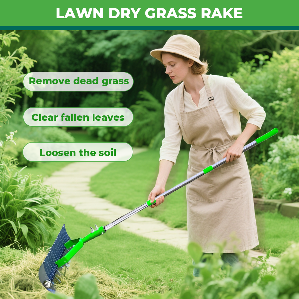 Thatch Rake for Lawn Care Detachable Dethatching Rake Garden Leaf Rake Soil Cultivator Lawn Aerator Tool with Adjustable Handle