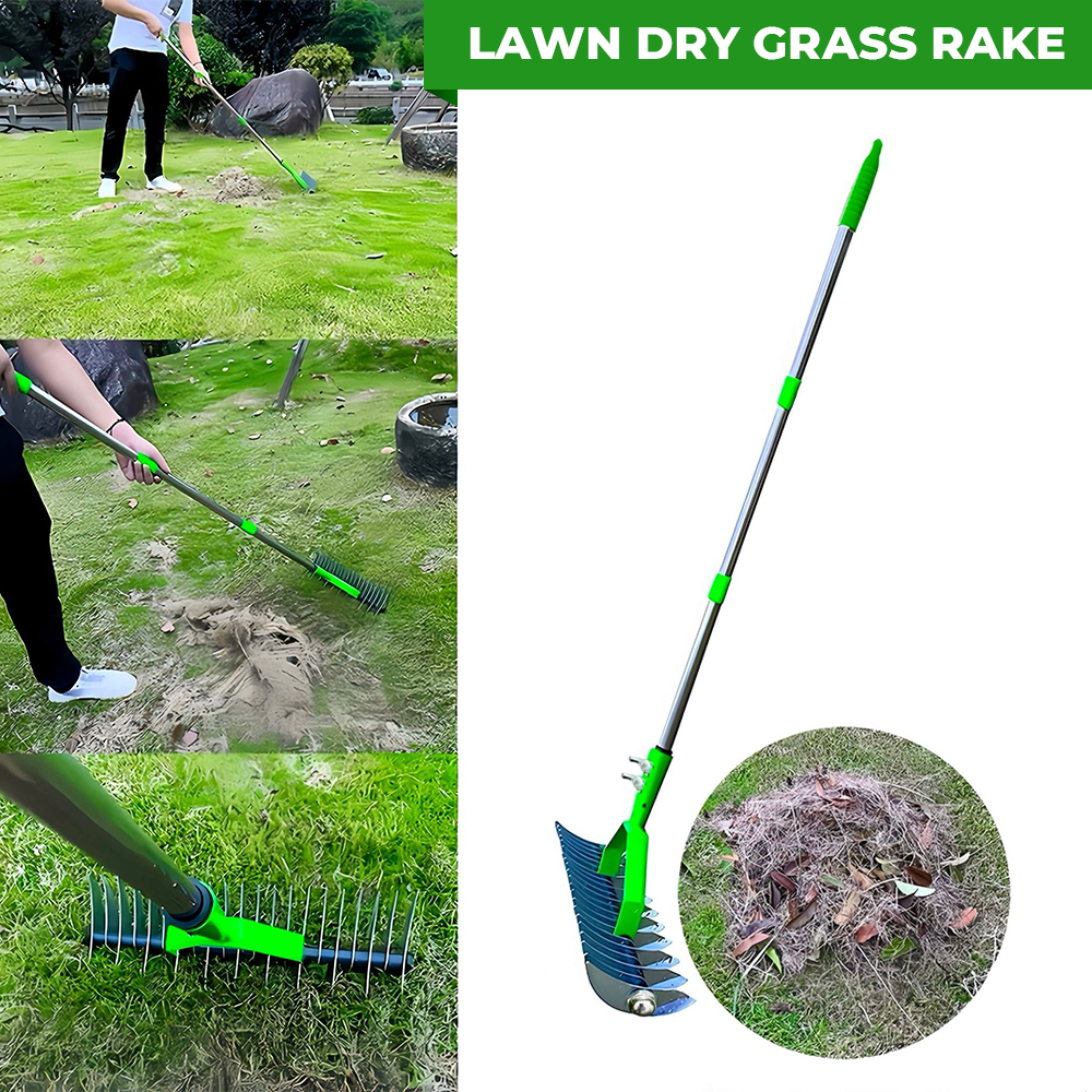 Thatch Rake for Lawn Care Detachable Dethatching Rake Garden Leaf Rake Soil Cultivator Lawn Aerator Tool with Adjustable Handle