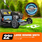 Self Propelled Lawn Mower Gas Powered 163cc 4-Cycle Engine Rear Wheel Drive Variable Speed 6 Height Adjustments