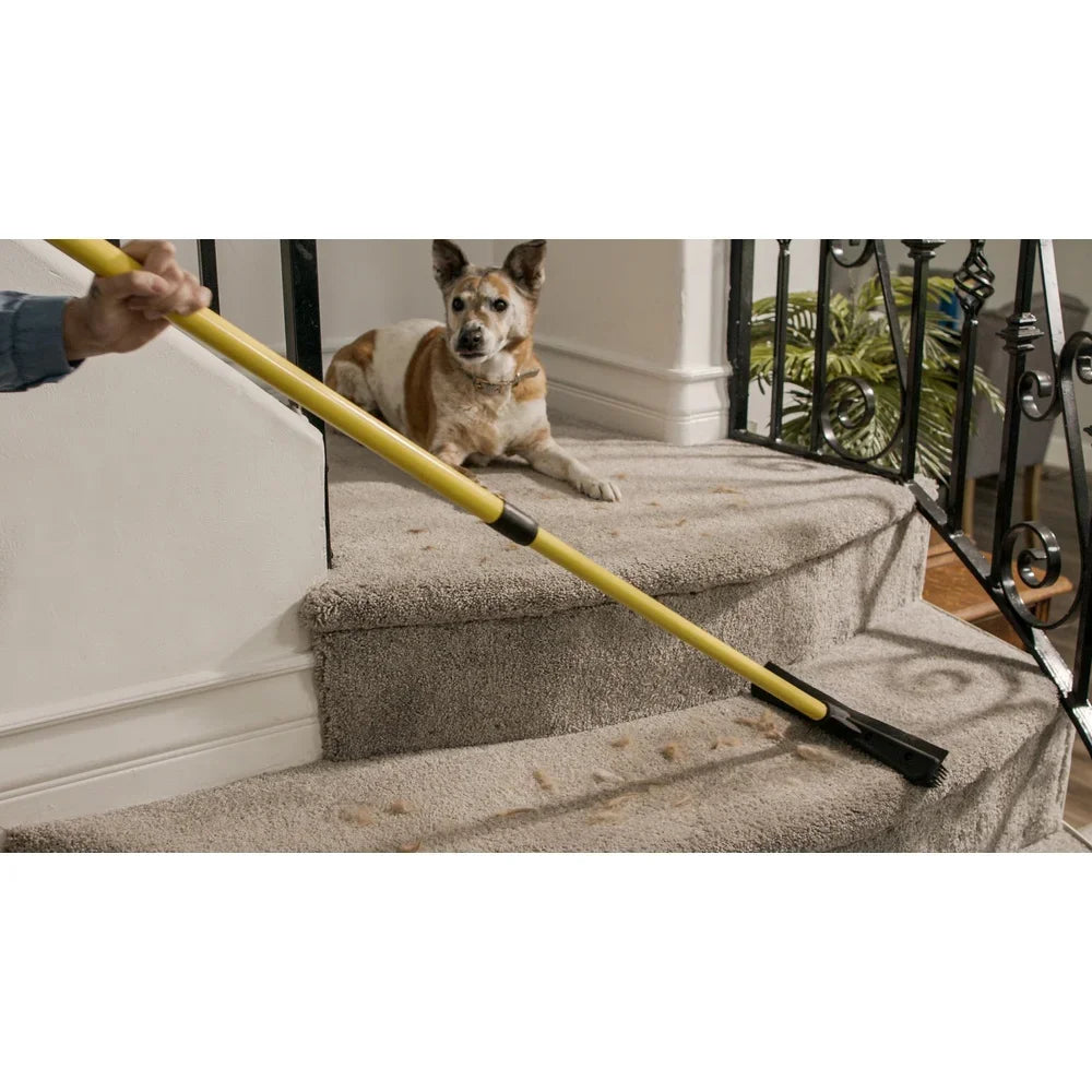 Rubber Broom Pet Hair Remover with Squeegee Natural Bristles Carpets Rugs and Hardwood Floors Cleaning