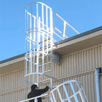 Outdoor Vertical Cage Ladders Steel Fiberglass FRP Material Angled Steel Cat Cage Step Ladder for Fire Escape Access