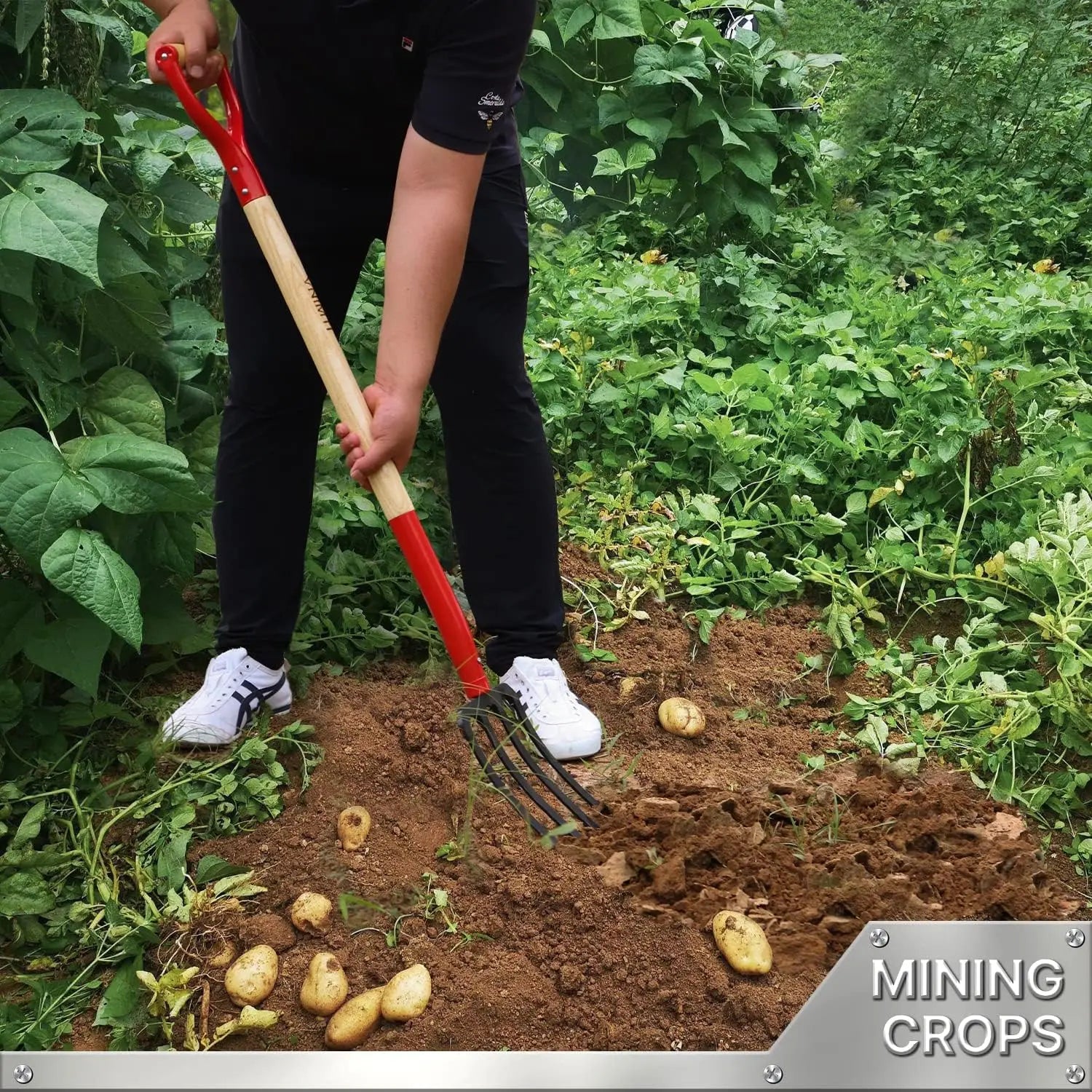 4-Tine Steel Garden Fork, 45-Inch Wood Handle, Heavy Duty Digging Tool for Soil Compost Mulching