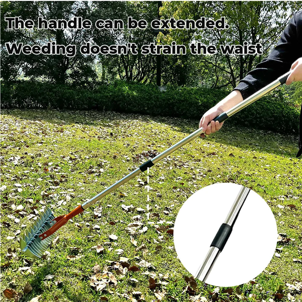 Thatch Rake for Lawn Care Detachable Dethatching Rake Garden Leaf Rake Soil Cultivator Lawn Aerator Tool with Adjustable Handle