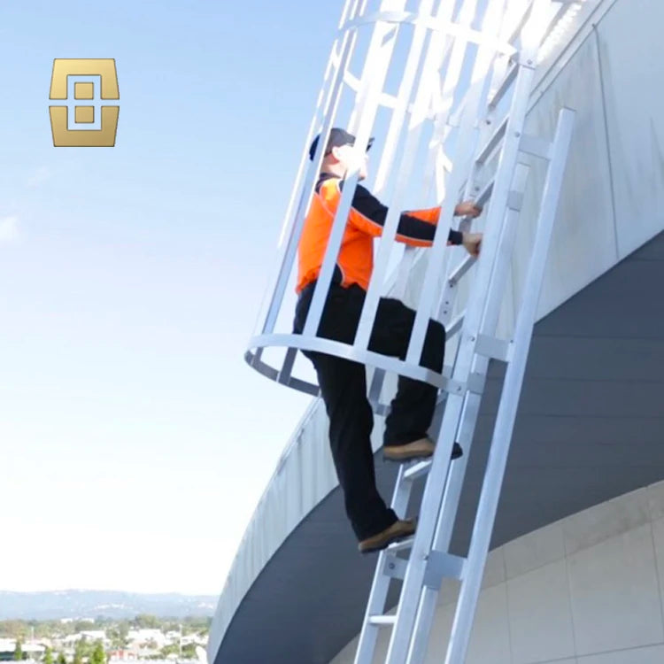 Outdoor Vertical Cage Ladders Steel Fiberglass FRP Material Angled Steel Cat Cage Step Ladder for Fire Escape Access